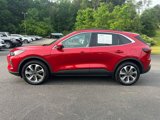 Used 2024 Ford Escape Platinum image 2
