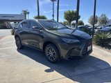 Certified 2024 Lexus NX 350 AWD image 2
