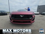 New 2025 Ford Mustang GT Premium image 2