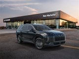 New 2025 Hyundai Palisade Calligraphy image 2