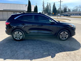 Used 2020 Ford Escape SEL image 6