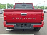 New 2025 Toyota Tacoma Limited image 5