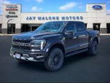 New 2025 Ford F150 Raptor image 4