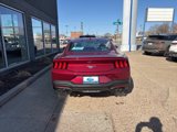 New 2025 Ford Mustang Coupe image 6