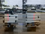 New 2025 Chevrolet Silverado 1500 LT w/ Texas Edition Plus image 5