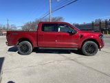 New 2025 Ford F150 XLT image 3