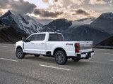New 2025 Ford F250 Platinum image 4