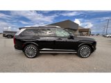 New 2026 Hyundai Palisade Calligraphy image 4