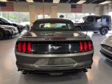 Used 2019 Ford Mustang Premium image 6