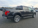 New 2025 Ford F150 XLT w/ Equipment Group 302A MID image 4