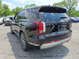 New 2025 Hyundai Palisade Calligraphy image 5