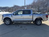 New 2025 Ford F150 XLT w/ Equipment Group 302A MID image 4