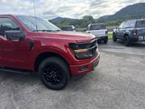 New 2025 Ford F150 XLT image 2
