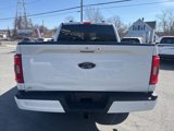 Used 2023 Ford F150 XLT w/ Equipment Group 302A High image 6