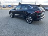 Used 2024 Ford Escape Platinum image 4
