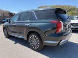 New 2025 Hyundai Palisade Calligraphy image 5