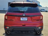 New 2025 Honda Passport Black Edition image 4
