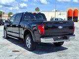 Used 2024 Ford F150 XLT image 5