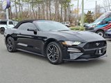 Used 2022 Ford Mustang Premium image 2