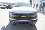 New 2025 Ford F150 Tremor image 2