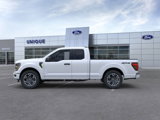 New 2025 Ford F150 STX w/ Equipment Group 200A image 3