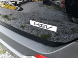 New 2025 Kia Carnival SX Prestige image 5