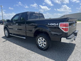 Used 2014 Ford F150 XLT w/ Equipment Group 302A Luxury image 5