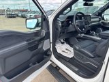 New 2025 Ford F150 Platinum w/ Equipment Group 702A High image 6