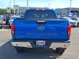 Certified 2019 Ford F150 XLT w/ Equipment Group 302A Luxury image 5