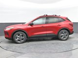 New 2025 Ford Escape ST-Line w/ Cold Weather Package image 5