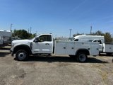 New 2024 Ford F450 XL w/ XL Chrome Package image 6