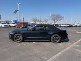 Certified 2022 Ford Mustang Premium image 2
