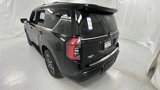 New 2025 Nissan Armada Platinum image 5