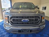 Used 2022 Ford F150 XLT w/ Equipment Group 302A High image 2