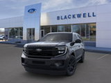 New 2025 Ford Expedition Platinum image 2