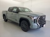New 2026 Toyota Tundra Platinum image 3