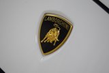Used 2021 Lamborghini Urus image 3