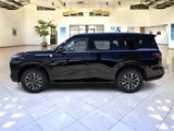New 2025 INFINITI QX80 Pure image 4