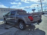 New 2025 Ford F150 XLT w/ Equipment Group 302A MID image 3