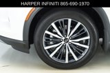 Used 2024 INFINITI QX60 Autograph w/ Cargo Package image 5