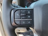 New 2025 Ford F250 Platinum w/ Tremor Off-Road Package image 5