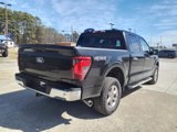 New 2025 Ford F150 XLT image 5