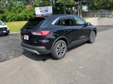 Used 2022 Ford Escape SEL image 6
