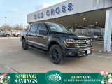 New 2025 Ford F150 XLT w/ Equipment Group 302A MID image 1