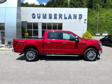 New 2025 Ford F150 Lariat w/ Equipment Group 501A Mid image 6