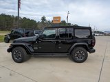 New 2024 Jeep Wrangler Sahara w/ Technology Group image 5