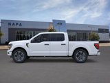 New 2025 Ford F150 STX w/ Equipment Group 200A image 3