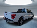 Certified 2023 Ford F150 XL w/ XL Chrome Appearance Package image 2