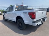 New 2025 Ford F150 XLT image 3