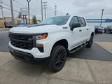 New 2025 Chevrolet Silverado 1500 Custom Trail Boss w/ Turbomax Blackout Package image 2